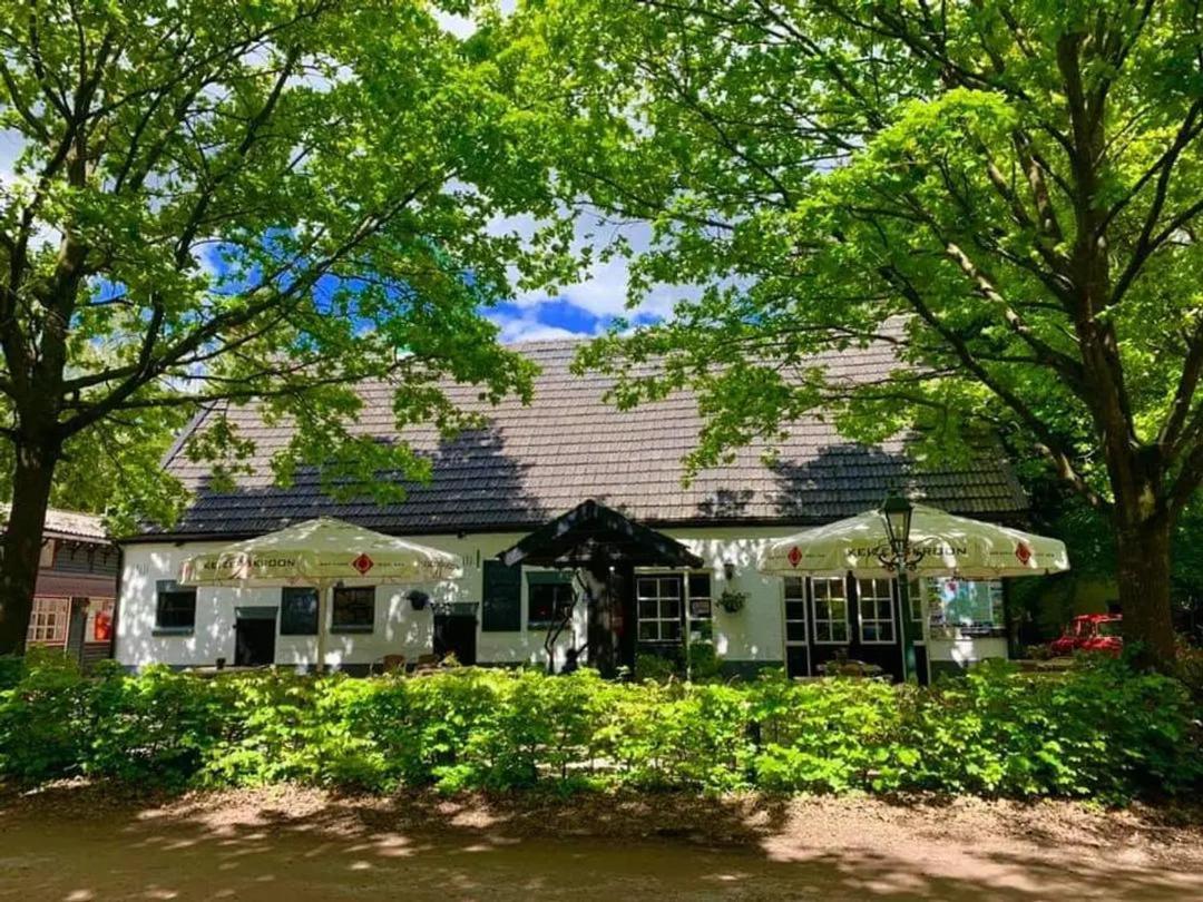 אפ Modern Chalet In De Bossen Van De Veluwe מראה חיצוני תמונה